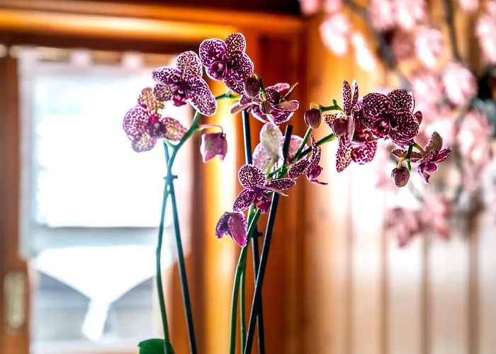 Hotel Ambra Cortina Luxury&fashion 4*